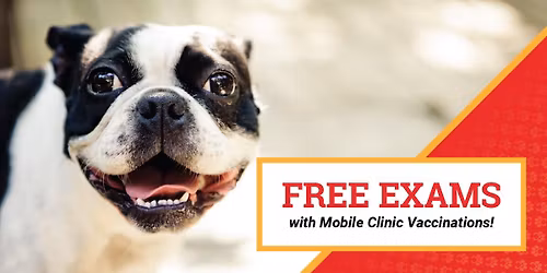 Affordable Pet Vaccinations & Wellness Clinic, McKinney @ Hollywood Feed, Virginia Pkwy\/Custer Rd
