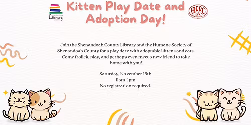 Kitten Play Date and Adoption