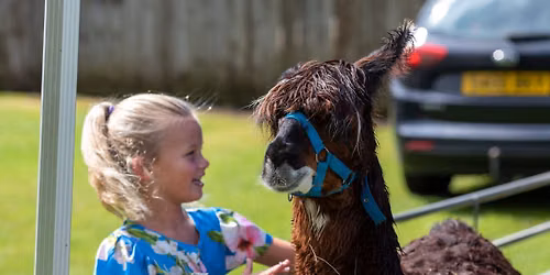 All Creatures Great & Small Family Day