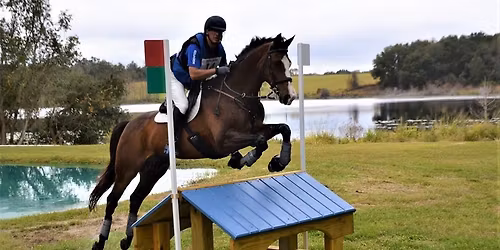 Three Lakes Schooling Show