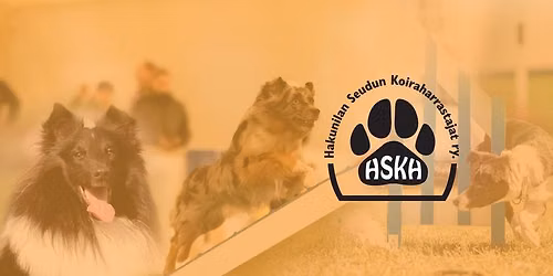 HSKH:n agilitykilpailut | Lokakisat 17.-18.10.2026 | Australiankelpie & bordercollie rotumestaruus