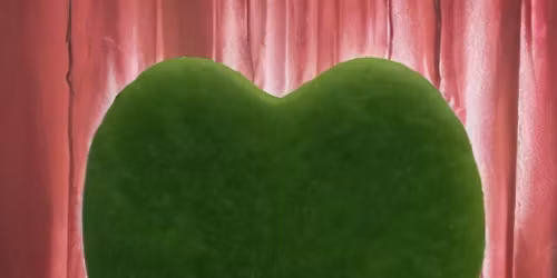 Heart \u2764\ufe0f Hoya - Potting Class