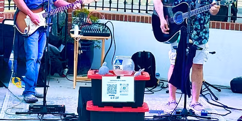 Swimming With Sharks at The Porch in Wilson.