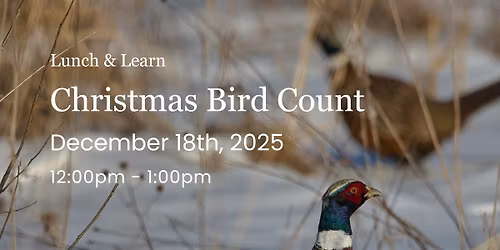 Lunch & Learn: Christmas Bird Count