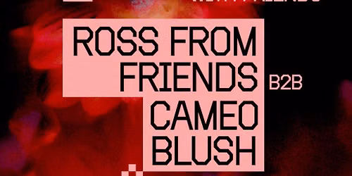 Ross From Friends and Friends at The Loft