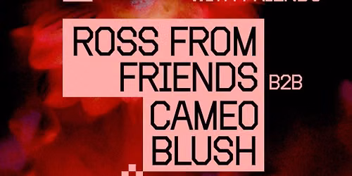 Ross From Friends and Friends at The Loft