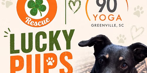 Lucky Pups and Yoga! 