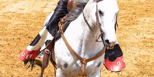 13th Annual Tomah High School Rodeo