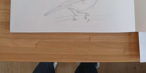 Drawing for Nature Sketching