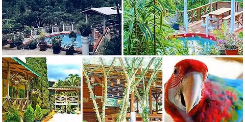 Roadtrip: Aripo Cottage Adventure and Hike Aripo Watersteps, Blue Basin pool and black pool. 