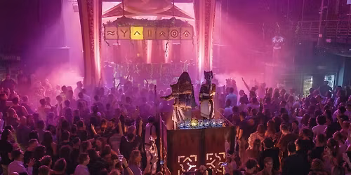 7 Vibes Journey in Hamburg