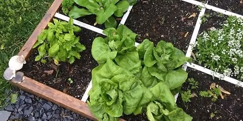 Learn Square Foot Gardening
