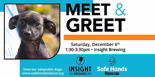 Safe Hands Rescue Meet & Greet at Insight Brewing