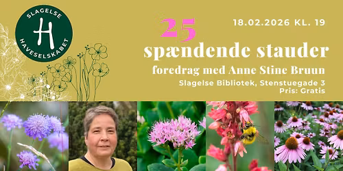 25 sp\u00e6ndende stauder