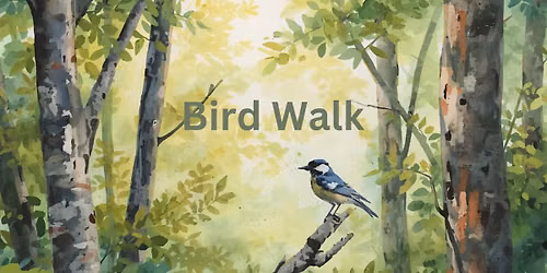 Bird Walk