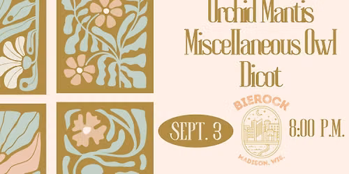 Live Music by Orchid Mantis, Miscellaneous Owl & Dicot
