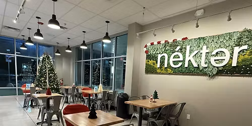 Build Your Own Ginger Bread House at Nekter Juice Bar!