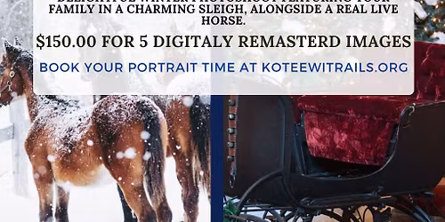 Winter Wonderland Mini Photo Shoot