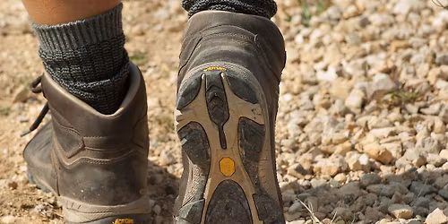 Themed Walk \u2013 Barns, Walls and Bridges