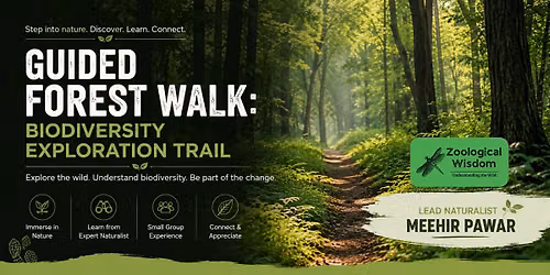 Guided Forest Walk in Mumbai 