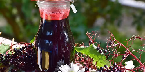 Finding Stillness in the Season with Elderberry Spiced Winter Tonic