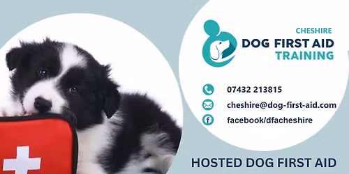 RUNCORN - DOG FIRST AID COURSE - HOSTED by Hesseys Happy Hounds, WA7 1XU - \u00a364.50