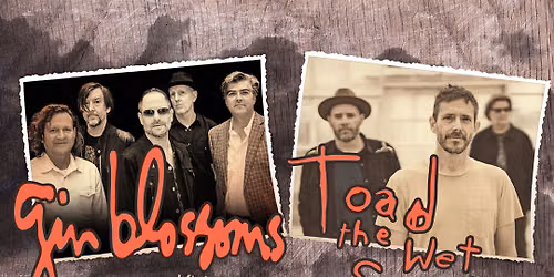 Gin Blossoms & Vertical Horizon