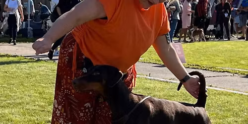 N\u00e4yttelykoulutus