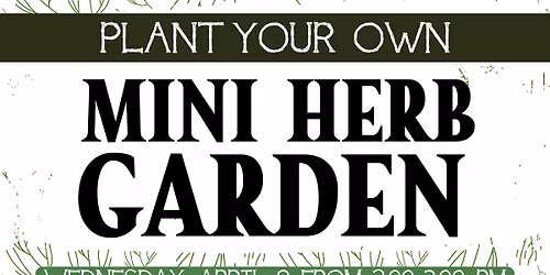 Plant Your Own Mini Herb Garden