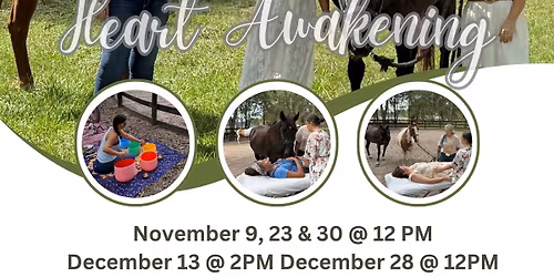 Healing with horses workshop