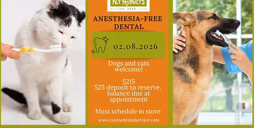 Anesthesia Free Dental Clinic