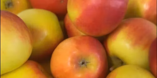 Kindergesundheitstag 