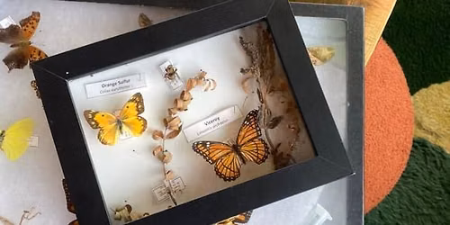 Nature Art Works: Insect Pinning 2026