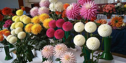 76th Annual Show