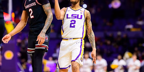 Parking LSU Tigers at South Carolina Gamecocks Mens Basketball