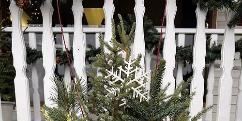 Arts & Draughts, DIY Porch Pot, Buffalo Location