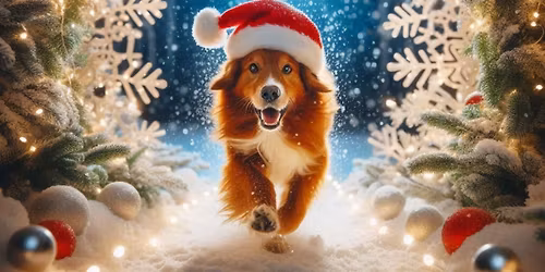 DGI\u2019s December SpeedWay Trial