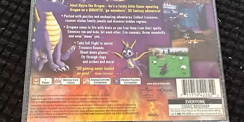 Feisty Birds & Analog Dogs