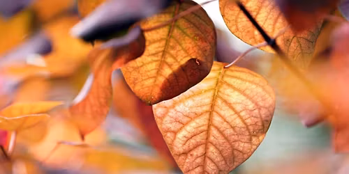 Workshop Tysta Vindspel  | Konsthallen Kulturens hus Lule\u00e5