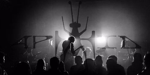 APHID + DEJECTED + ZIPLOK