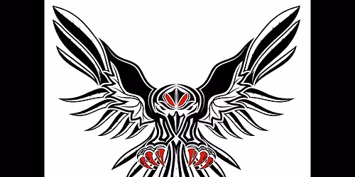 Low flying crow - live @ The comet , Scunthorpe (5pm) 