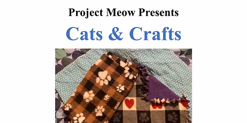 Project Meow Presents: Cats & Crafts! \ud83e\uddf6\ud83d\udc31