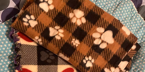 Project Meow Presents: Cats & Crafts! \ud83e\uddf6\ud83d\udc31