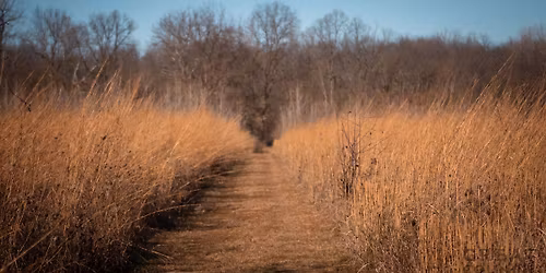 Native Prairie Walk