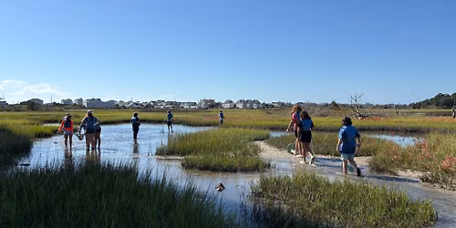 Great White Multi Day Camp (11+) Mollusks