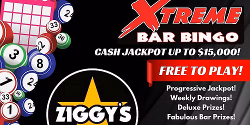 Bingo at Ziggys Hudson