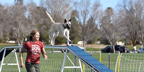 GACGLV December AKC Agility Trial