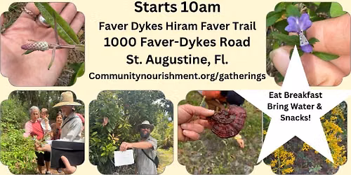 Foraging for Friends July 2026