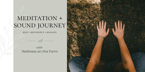 Meditation + Sound Journey