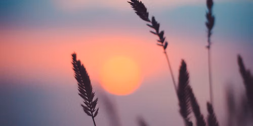 Rosh Chodesh: Women's Mini Song Retreat